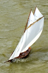 DSC03283 © Peter Taylor 2007