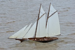 DSC05332 © Peter Taylor 2011