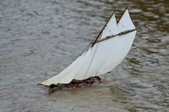DSC05315 © Peter Taylor 2011