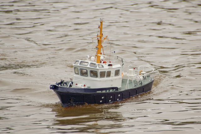 DSC07165 © Peter Taylor 2015