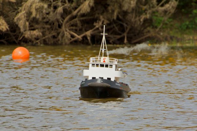 DSC06747 © Peter Taylor 2015
