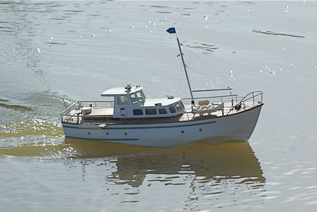DSC07006 © Peter Taylor 2008