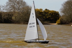 DSC06641  © Peter Taylor 2015