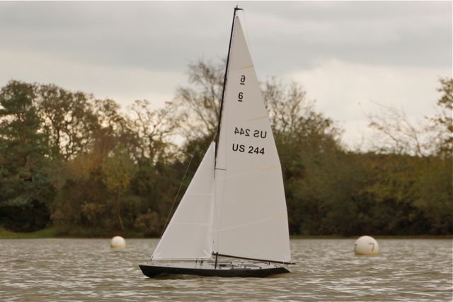DSC06229 © Peter Taylor 2014