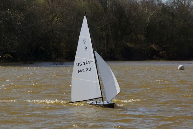 DSC06583  © Peter Taylor 2015