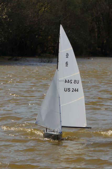 DSC06631  © Peter Taylor 2015