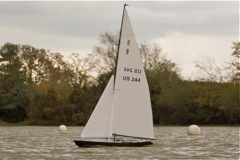 DSC06229 © Peter Taylor 2014