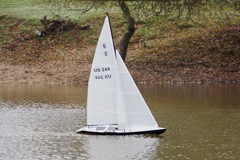 DSC06296 © Peter Taylor 2014