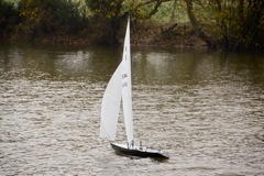 DSC06294 © Peter Taylor 2014