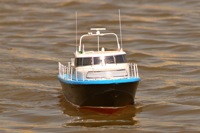DSC00094 © Peter Taylor 2012