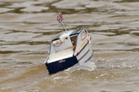 DSC06626 © Peter Taylor 2011