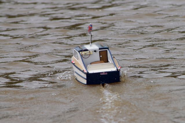DSC06627 © Peter Taylor 2011