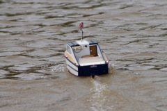 DSC06627 © Peter Taylor 2011