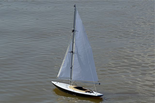 DSC05696 © Peter Taylor 2008