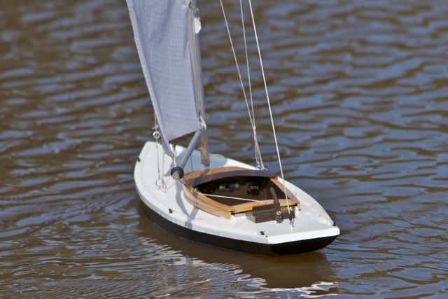 DSC05143 © Peter Taylor 2011