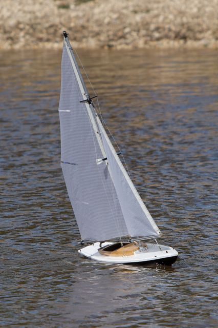 DSC05136 © Peter Taylor 2011