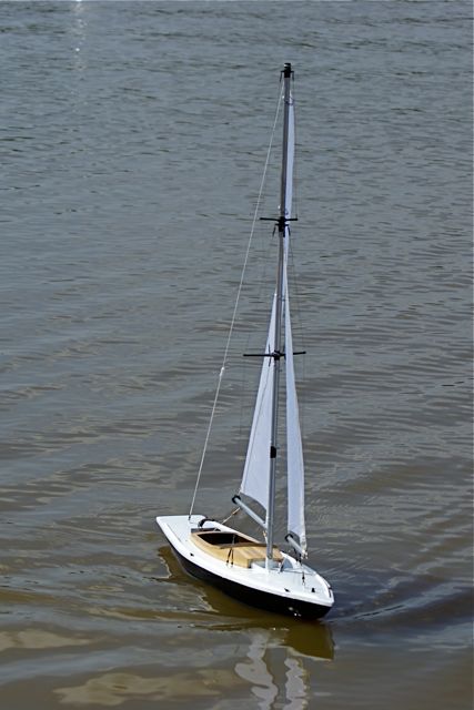 DSC05692 © Peter Taylor 2008