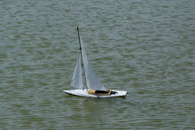 DSC09332 © Peter Taylor 2009
