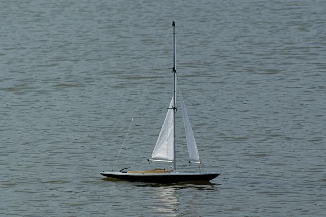 DSC06669 © Peter Taylor 2008