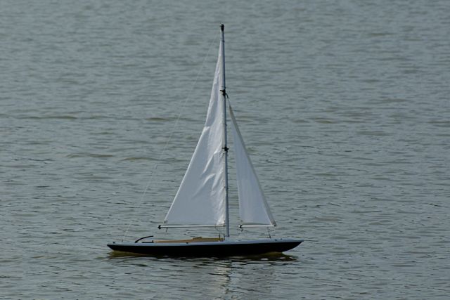 DSC06668. © Peter Taylor 2008