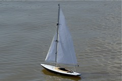 DSC05696 © Peter Taylor 2008