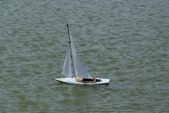 DSC09332 © Peter Taylor 2009