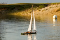 DSC02257 © Peter Taylor 2012