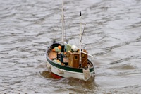 DSC03753 © Peter Taylor 2011