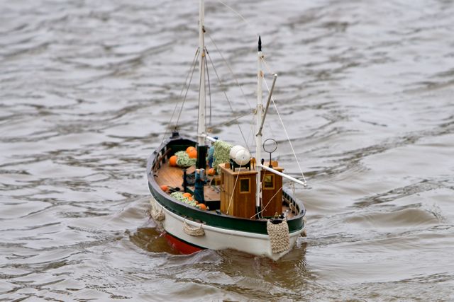 DSC03753 © Peter Taylor 2011