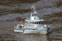 DSC03823 © Peter Taylor 2011