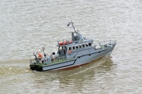 DSC07738.JPG © Peter Taylor 2008