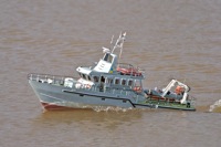 DSC03801 © Peter Taylor 2011