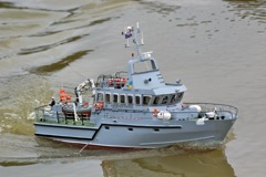 DSC07744.JPG © Peter Taylor 2008