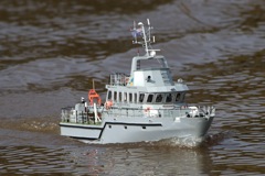 DSC03823 © Peter Taylor 2011