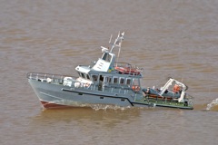 DSC03801 © Peter Taylor 2011