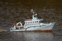 DSC03799 © Peter Taylor 2011