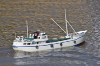 DSC07411 © Peter Taylor 2011
