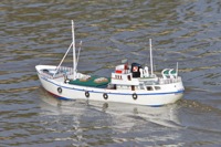 DSC07407 © Peter Taylor 2011