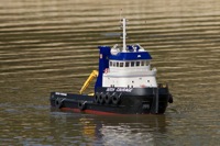 DSC06970 © Peter Taylor 2011