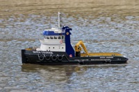 DSC07010 © Peter Taylor 2011