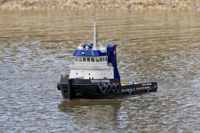 DSC07009 © Peter Taylor 2011