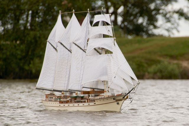 DSC05457 © Peter Taylor 2014
