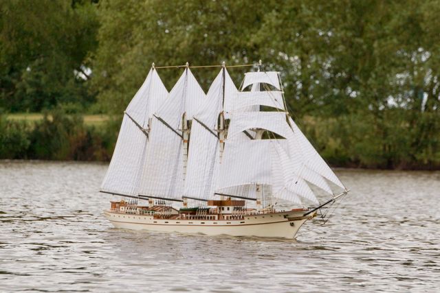 DSC05452 © Peter Taylor 2014