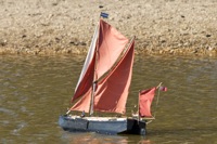 DSC08015 © Peter Taylor 2011