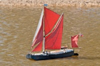 DSC08013 © Peter Taylor 2011