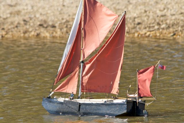 DSC08016 © Peter Taylor 2011