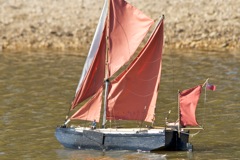 DSC08016 © Peter Taylor 2011