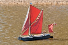 DSC08013 © Peter Taylor 2011