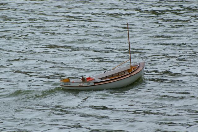 DSC01757 © Peter Taylor 2009