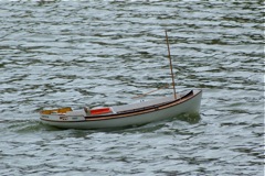 DSC01761 © Peter Taylor 2009